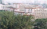 对照阅读