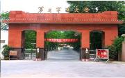 需要原文时请核对应栏目发布页