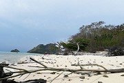 再按需打开相关阅读