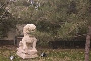 daxue / 选专业 / 新闻 /